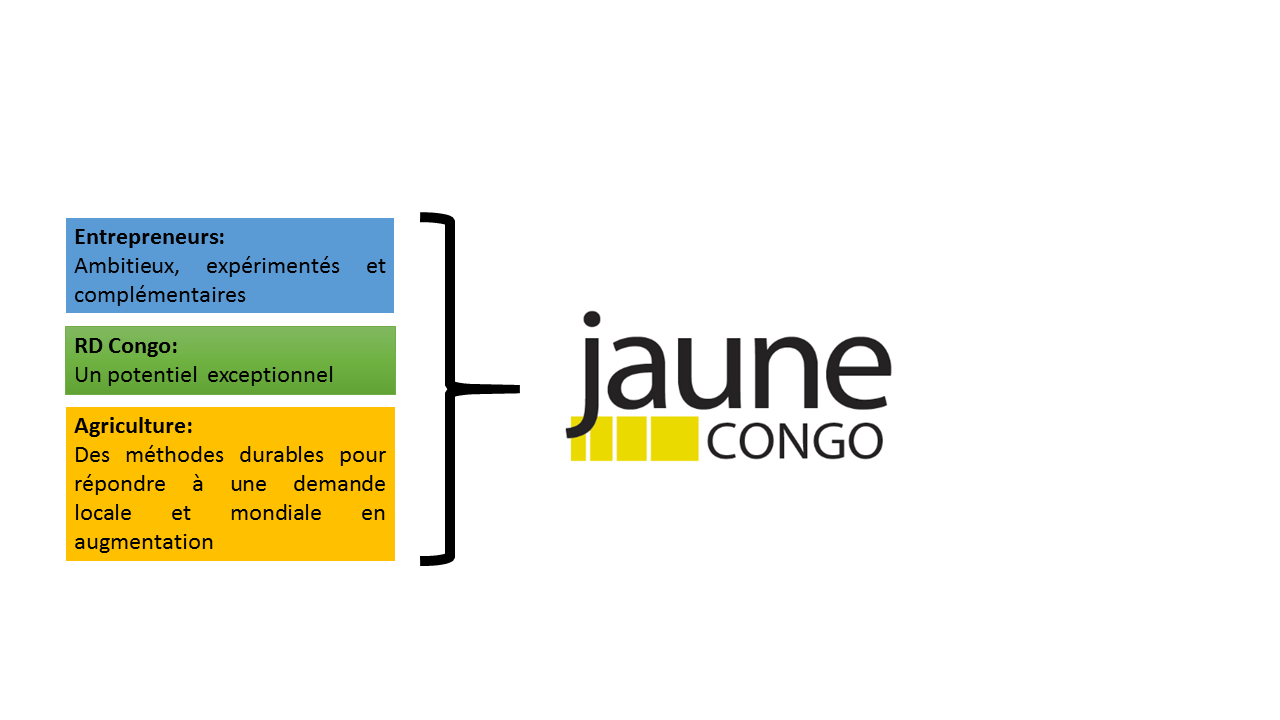 JauneCongo